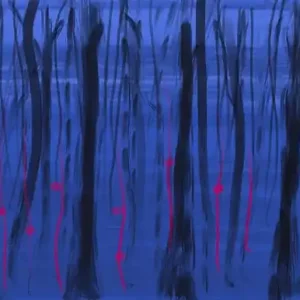 Midnight-Forest-by-Urs-Jaermann-on-HDAPPE