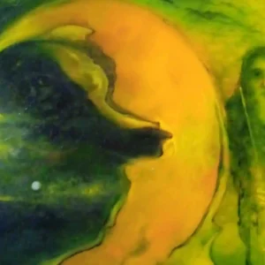 The center of an artwork by Bari Janó