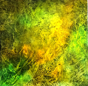 Nature-166