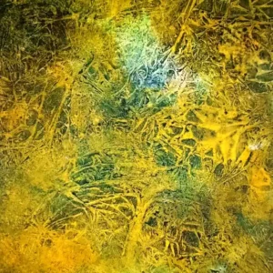 Nature-167