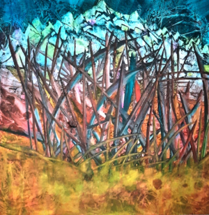 Nature-185