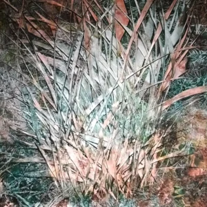 An artwork by Karola July