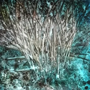 An artwork by Karola July