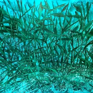 An artwork by Karola July