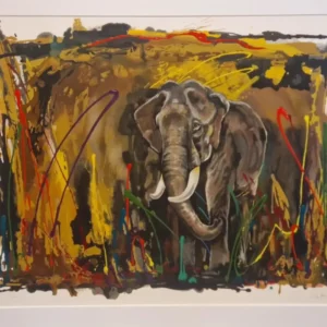 Out of the Jungle by Rolf Knie